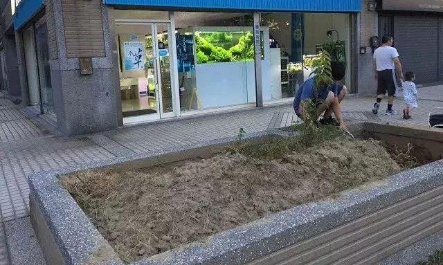 鱼池如何改造成花池,花池改鱼池如何做过滤