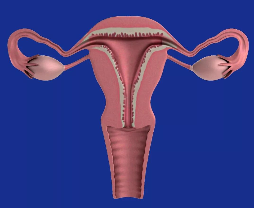 女性避孕要安全,女性健康必知长效避孕方法有哪些
