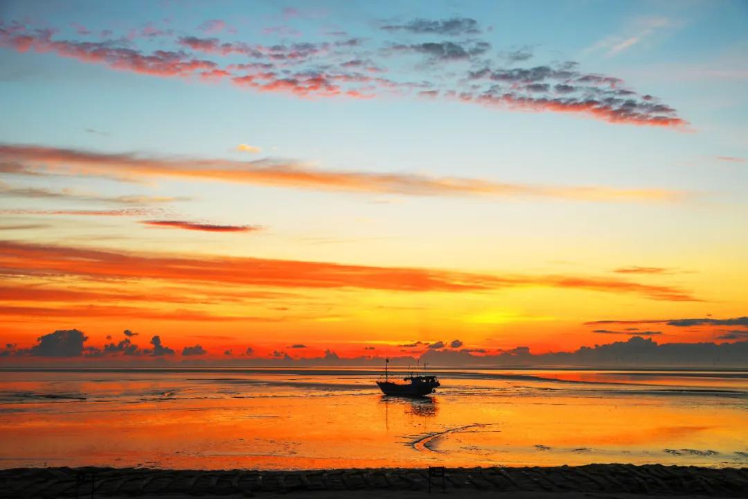 自带饭勺的鸟,自带勺子的小鸟
