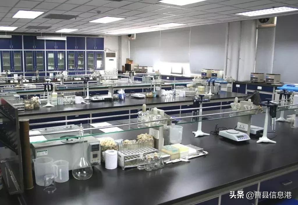 曹县苏教实验高级中学招标,曹县苏教高级中学放假时间