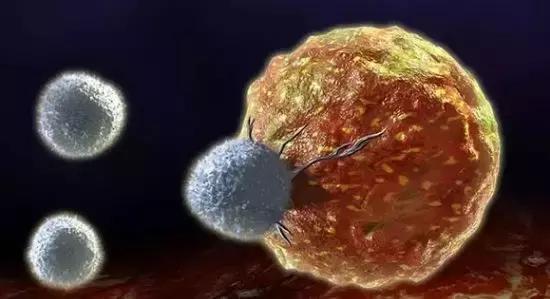 肿瘤免疫治疗的概念和流程,肿瘤免疫的4种状态