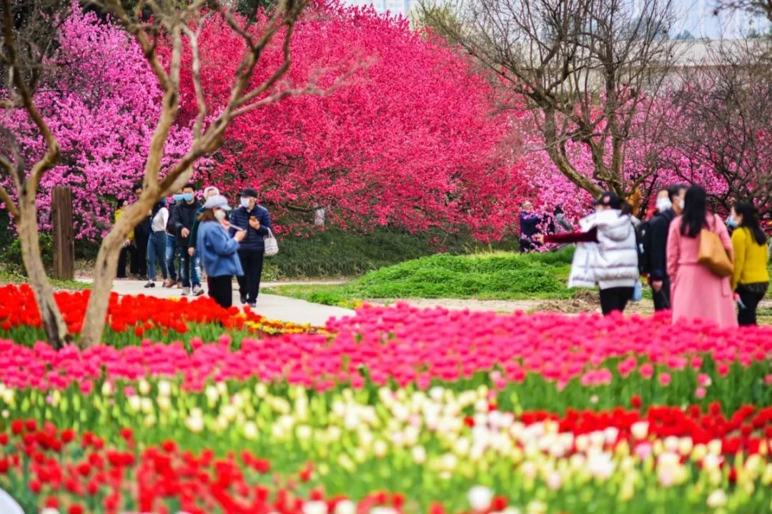 成都市秀丽东方,成都秀丽东方还在开放吗