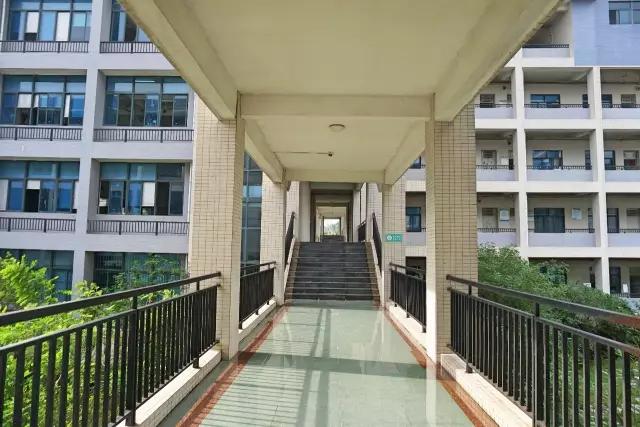 广东省大专卫校排行榜,广东省大专院校排名一览表