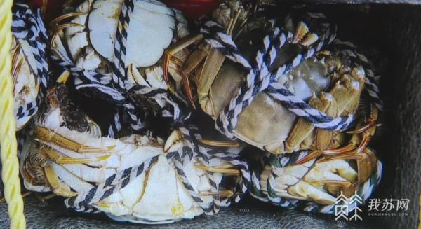 顺丰发的大闸蟹死了怎么办,顺丰保价大闸蟹