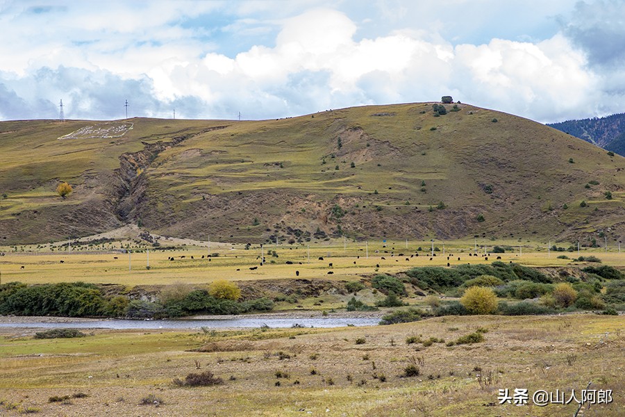宸濊タ楂樺師澶ц崏鍘熺殑璺笂鐓х墖,闈掕棌楂樺師涓婄殑鑽夊師闆北椋庢櫙