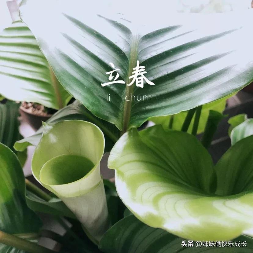 2021立春时间几点几分是早立春吗,2022年立春当天是几点立春