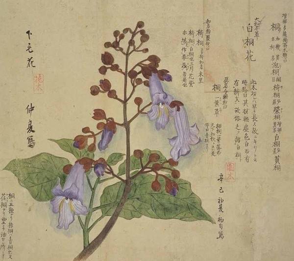 清明既是祭祖又是团聚,清明既是节气也是传统节日对不对