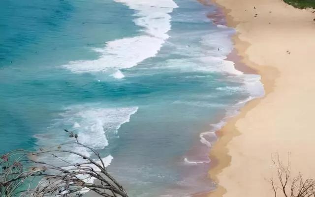 为什么海边比游泳池更危险?因为海里有个“隐藏杀手”