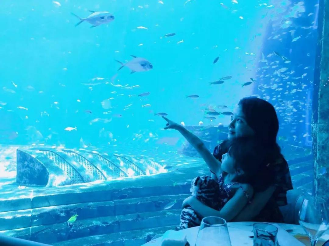 带娃去三亚旅游攻略住宿推荐,带娃去三亚攻略路线推荐一下