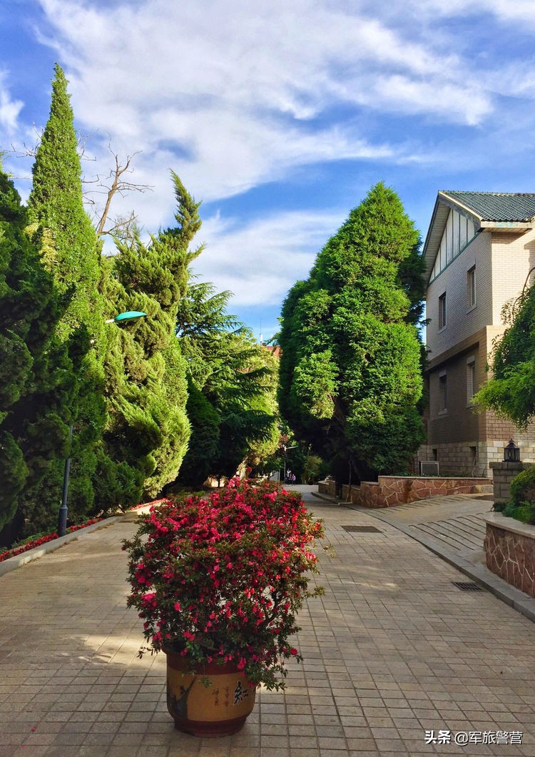 大连八七疗养院战友,大连市八七疗养院的故事