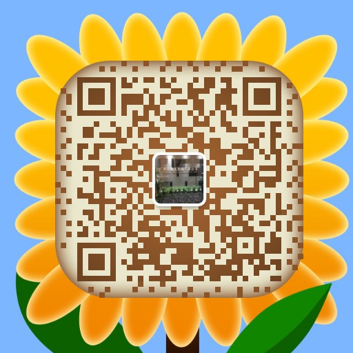 韩国尾货东大门v领大码女装,中长款潮牌大码女装