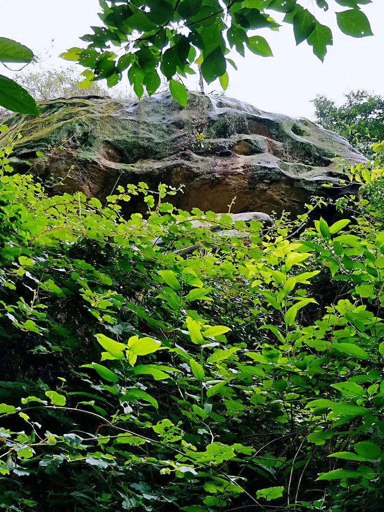 华容山水苑别墅100万,华容秀丽山水风景区