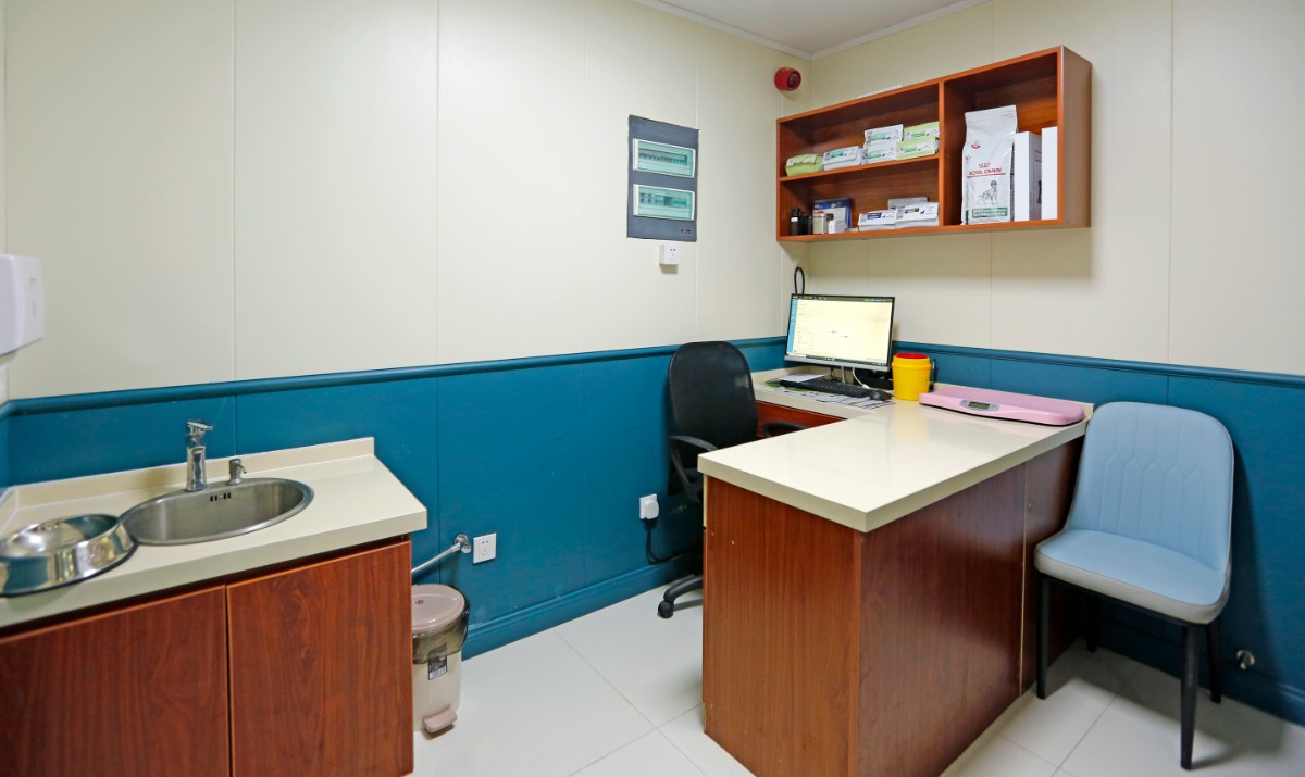 当了铲屎官才知道狗屎有多香,做了4年的铲屎官