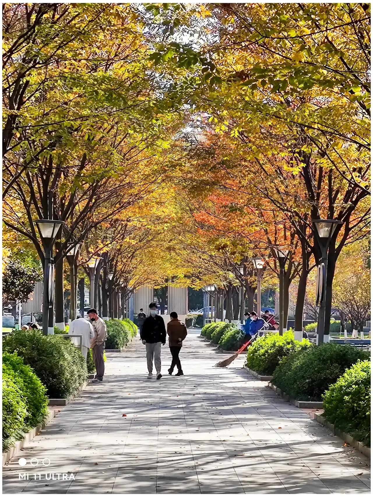 「北理工第五轮学科评估」各大学科专业详细预测及竞争分析