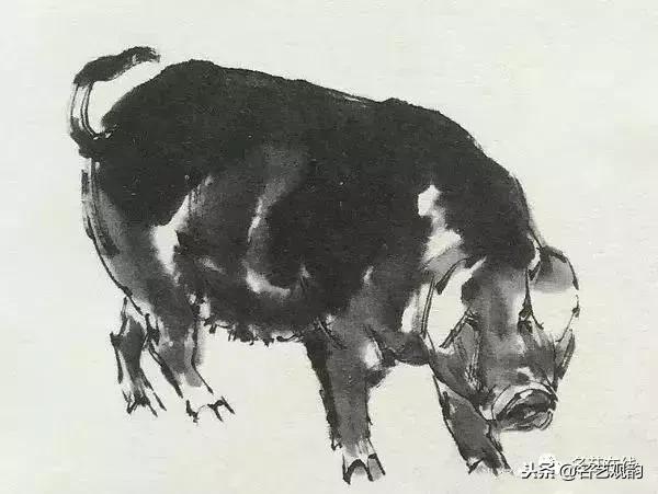 小朋友画猪简单又好看,猪年画猪中国画