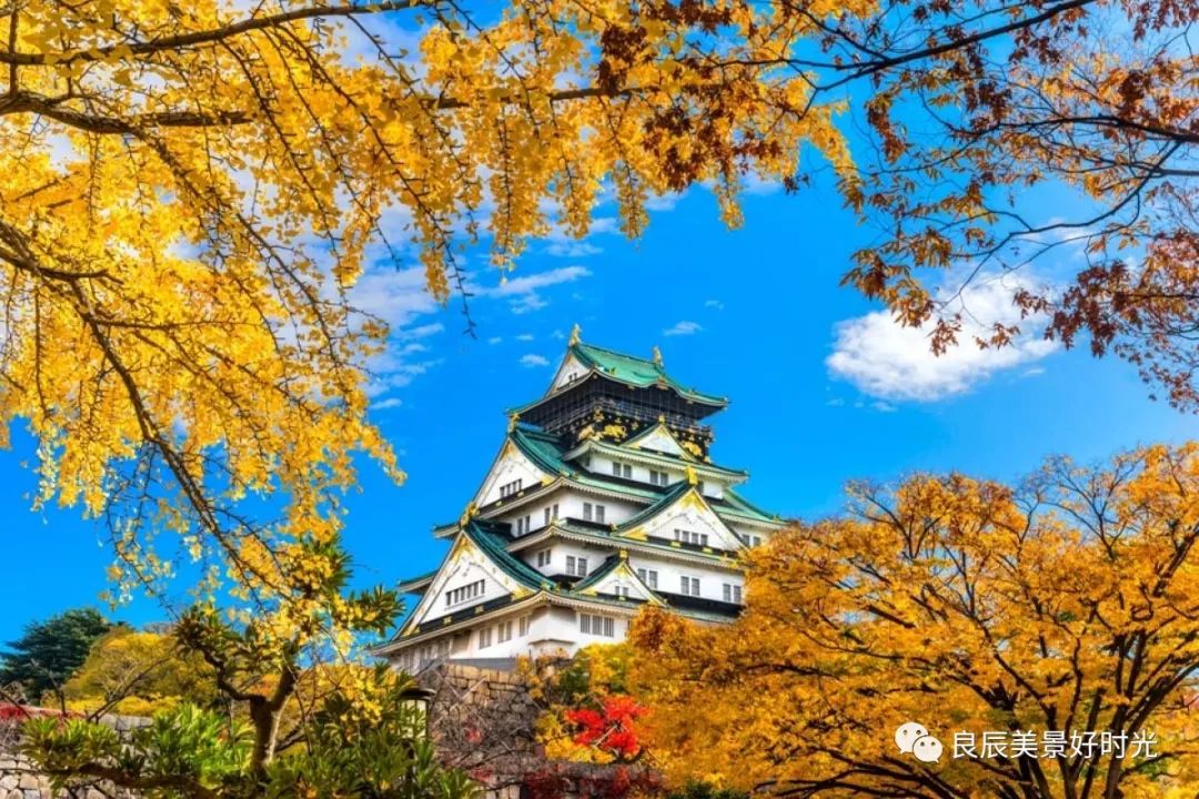 大阪ose期货国内可以交易吗,大阪osaksa食堂