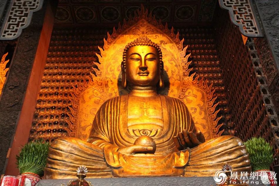 学佛的博士后：医学让我感到绝望，佛法让我看到希望