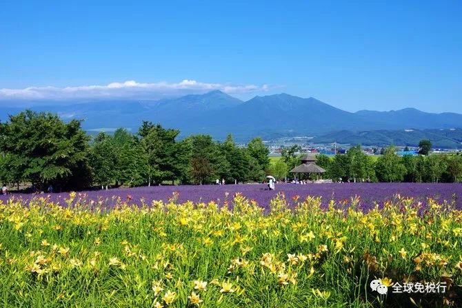 日本北海道旅游攻略英文,日本北海道旅游攻略学生
