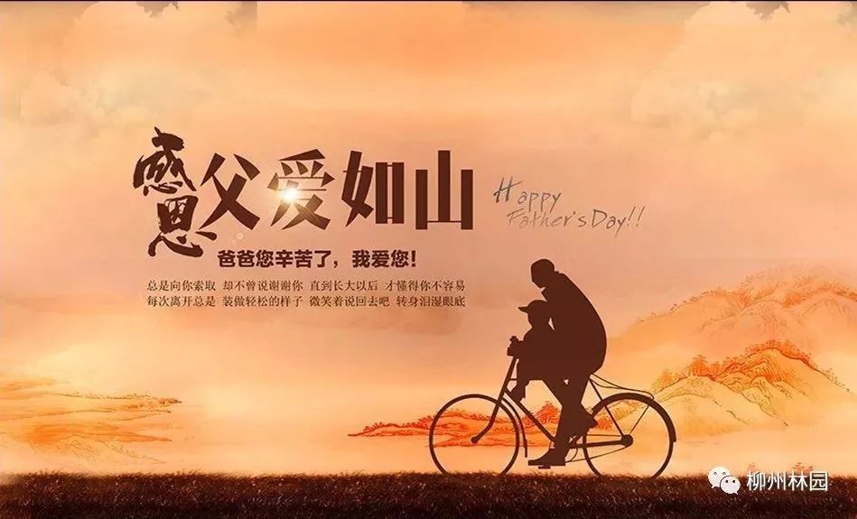 父亲节折什么花给父亲好,父亲节送给父亲什么