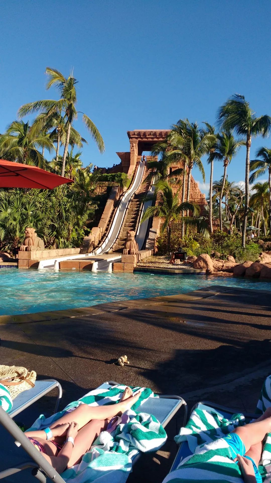 靠捡垃圾成了千亿富翁完整版,捡垃圾变成百万富翁