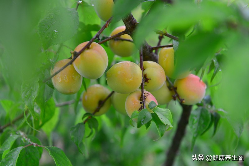 子宫肌瘤最怕吃三种食物,子宫肌瘤最怕四种食物不能吃