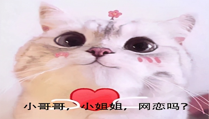 这年头谈个恋爱那么难吗,这年头网恋要连麦