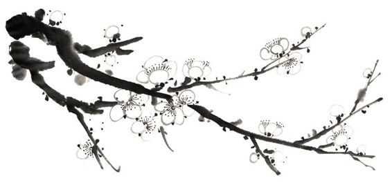 国画梅花上的雪画法步骤教程视频,零基础国画入门画梅花教程