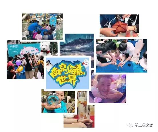 印象力之“爱在紫清湖--亲子嘉年华”活动即将精彩启幕