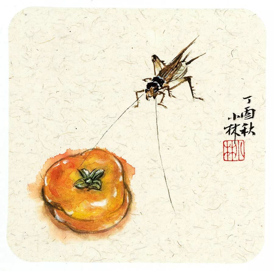 小林｜常恐秋风早，飘零君不知