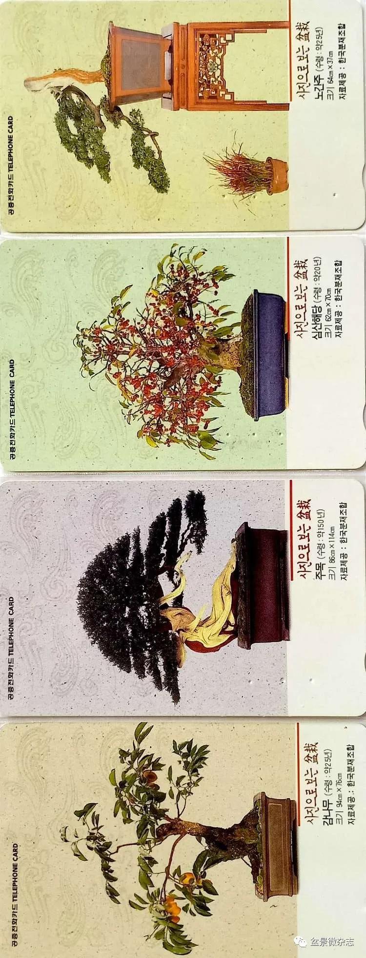 鐩嗘櫙鑱旂郴鐢佃瘽鍙风爜,涓鐩嗘櫙鑱旂郴鏂瑰紡