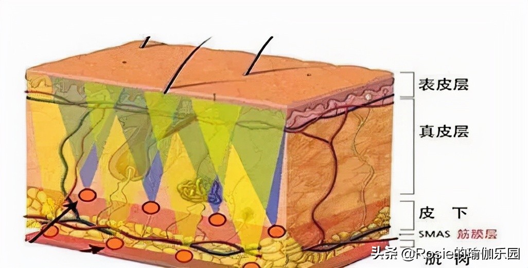 57岁巩俐怎样保持年轻呢,55岁的巩俐凭什么美炸了