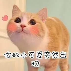 你的药妆其实都是假货！护肤精给我看这里