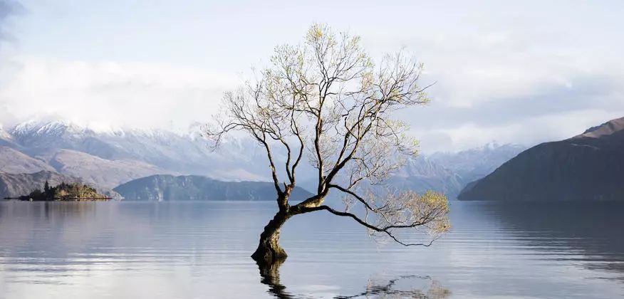 新西兰自驾旅游攻略,新西兰北岛到南岛自驾攻略