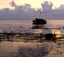 横沙岛具体位置,横沙岛的岛屿简介