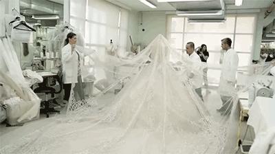 15万颗施华洛世奇水晶,eliesaab婚纱