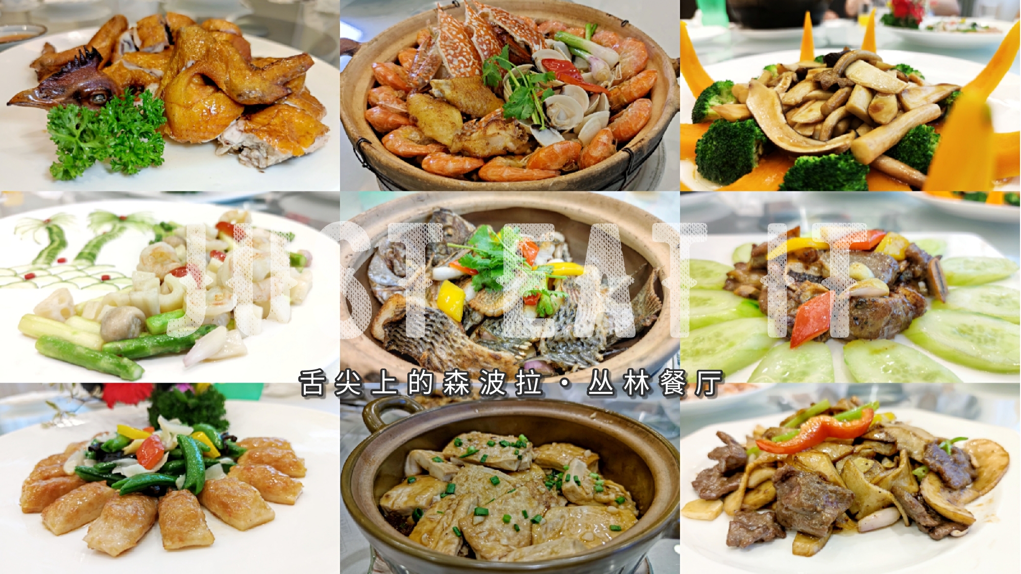 清远市佛冈森波拉度假区,佛冈森波拉度假森林免费攻略