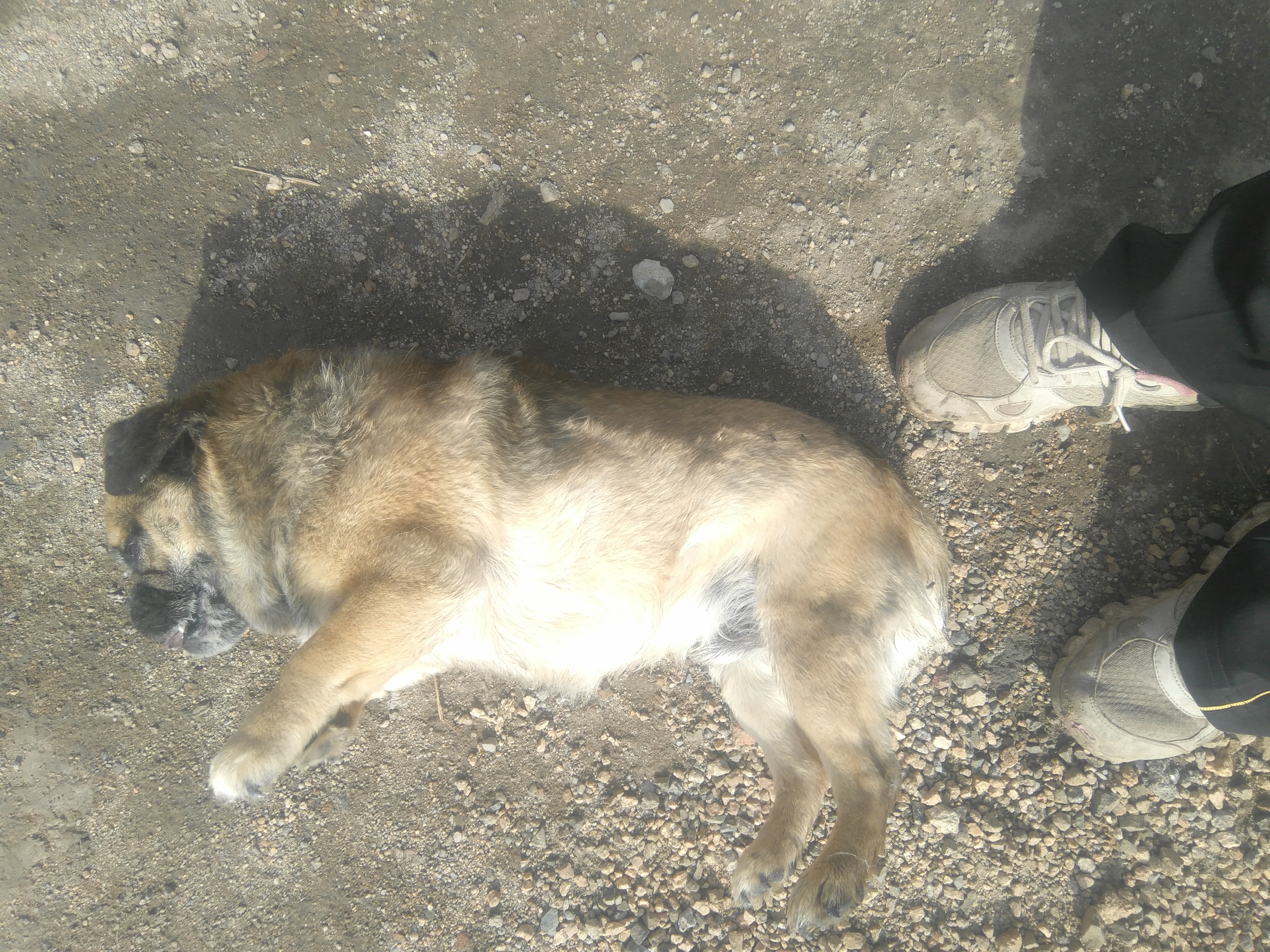 閭婚噷灏忎簨寮曞彂鍚垫灦閭诲眳浜嬪悗姝讳骸,閭婚噷涔嬮棿鍥犺鍚靛紩鍙戠殑妗堜欢