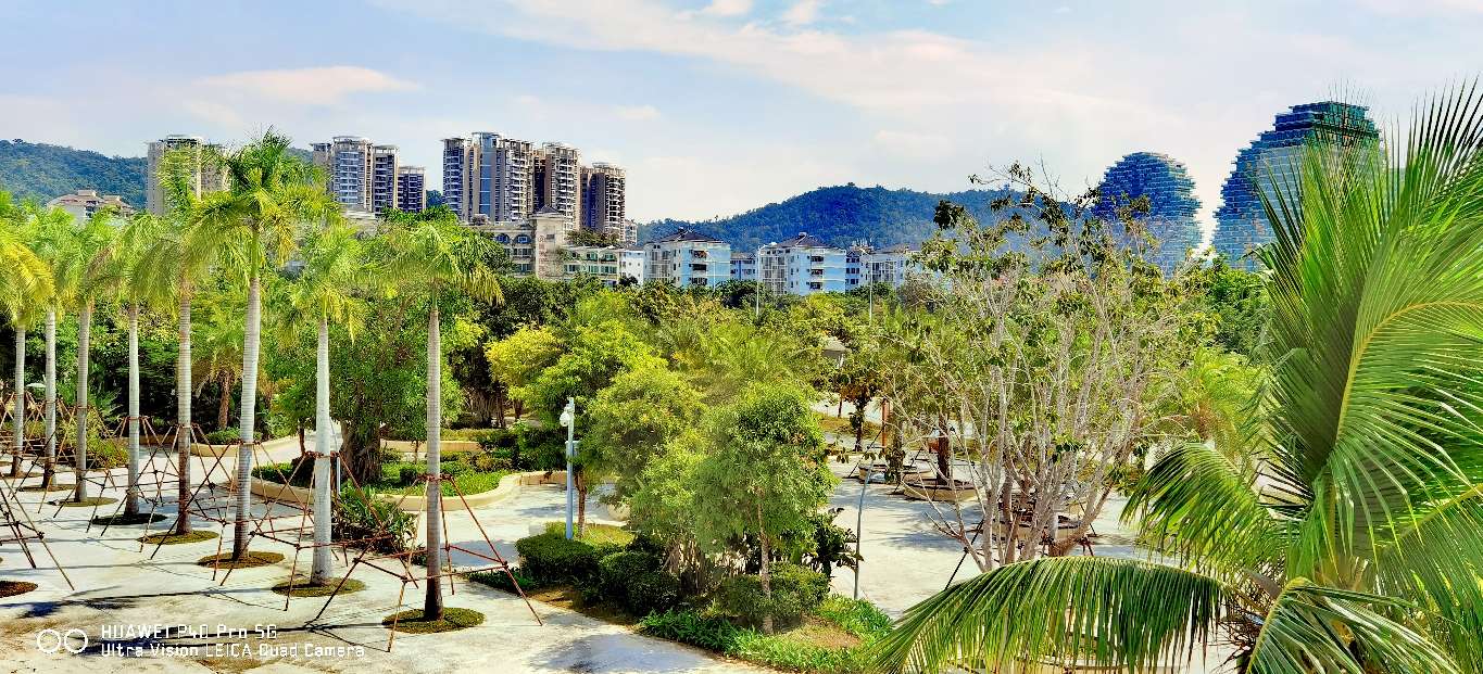 三亚地标性建筑美丽之冠大松树,三亚美丽之冠