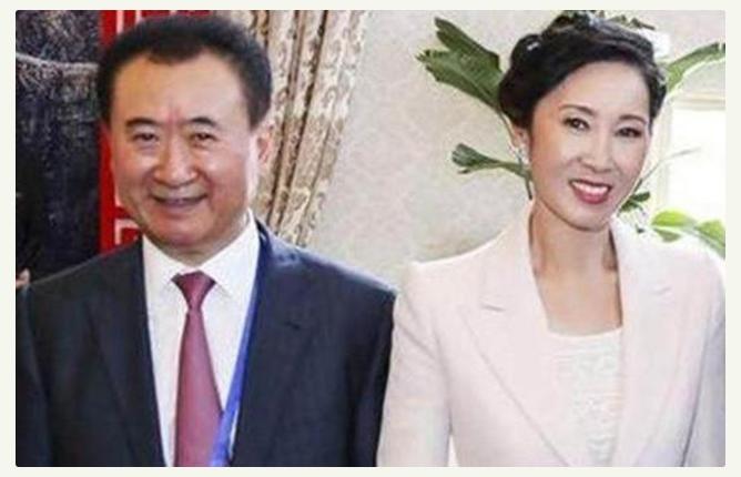 王思聪背后的故事,王思聪妈妈林宁和林更新什么关系