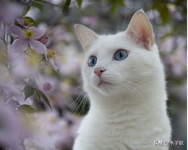 隔离的日子如同宅家,被隔离的日子真难熬吗