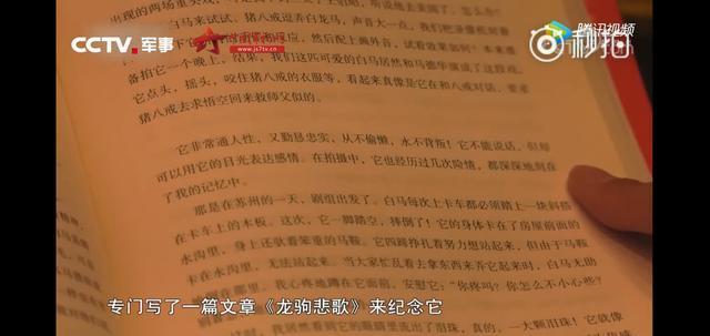 白龙马惨死最后怎么解决的,白龙马惨死事件