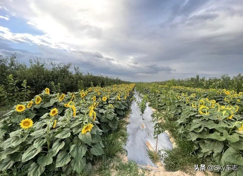 7天3000公里,宝马x57000公里发现烧机油