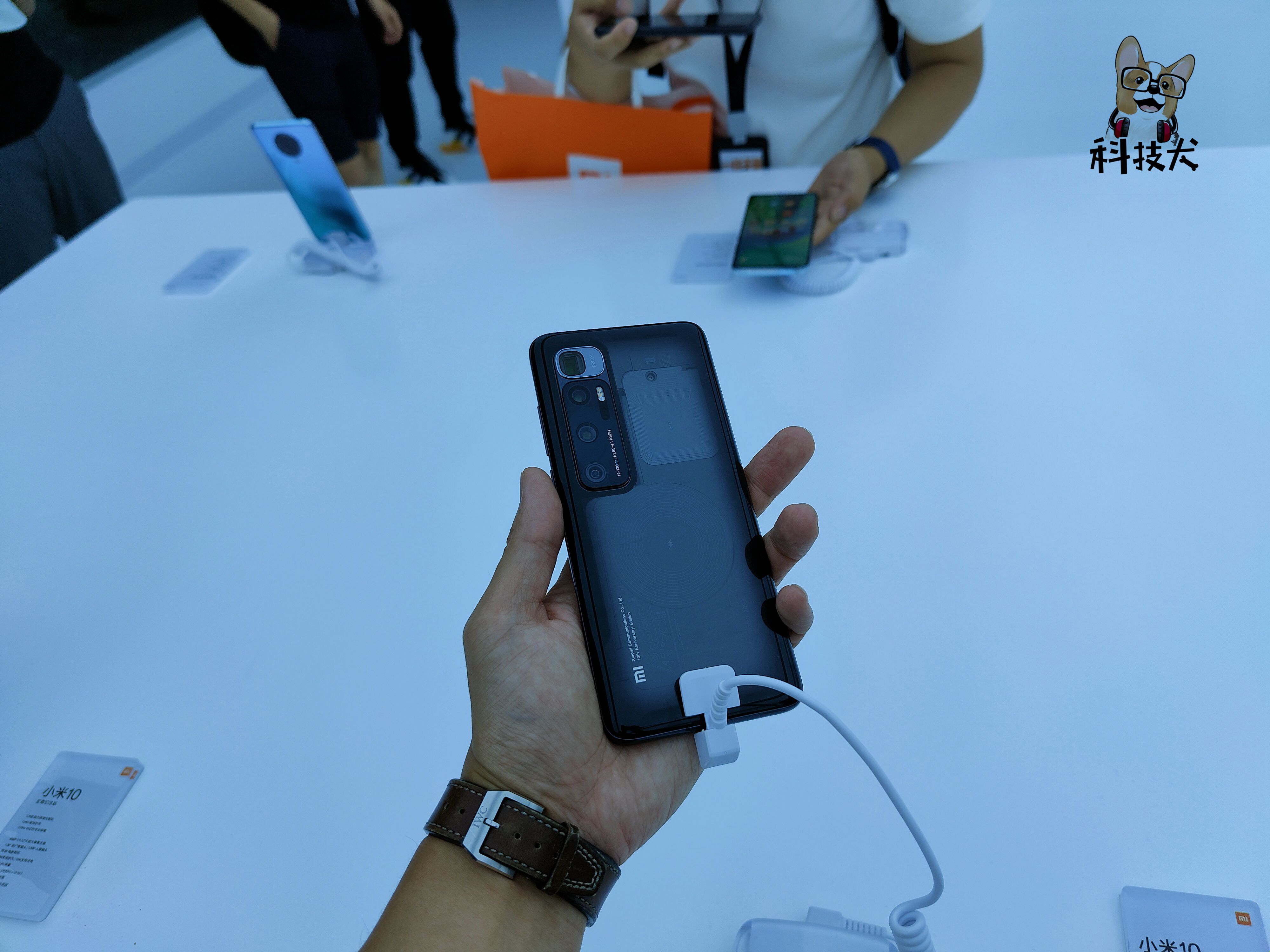 小米科技犬推荐,雷军小米极致爆款