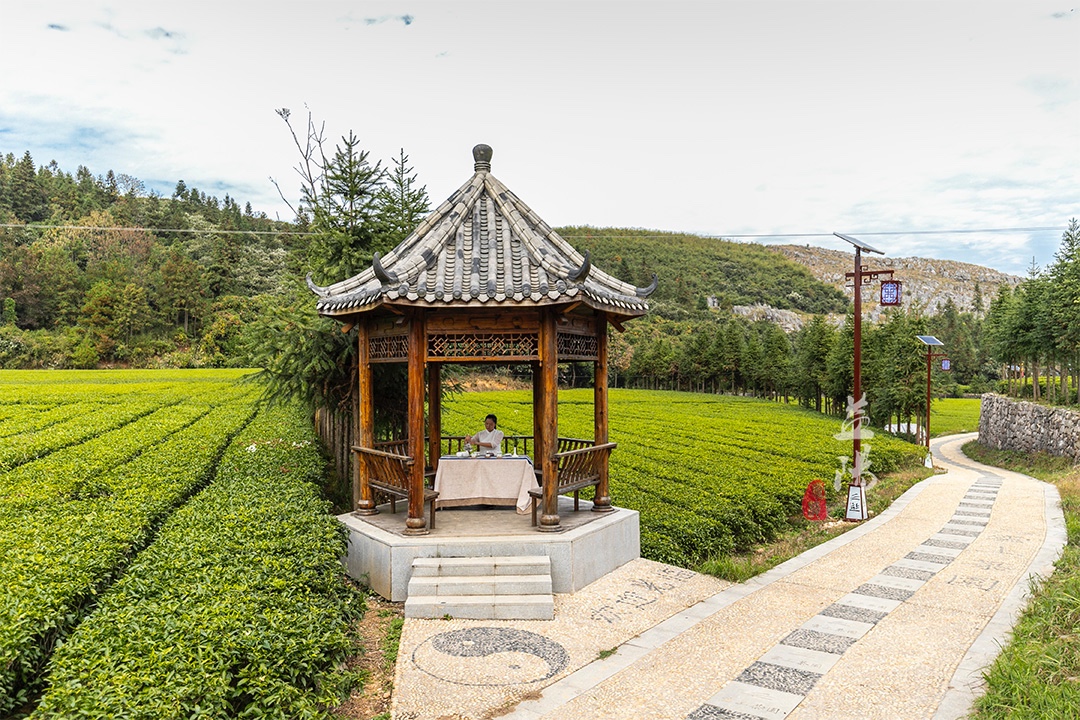 安化千两茶的四大优势,安化千两茶前世今生