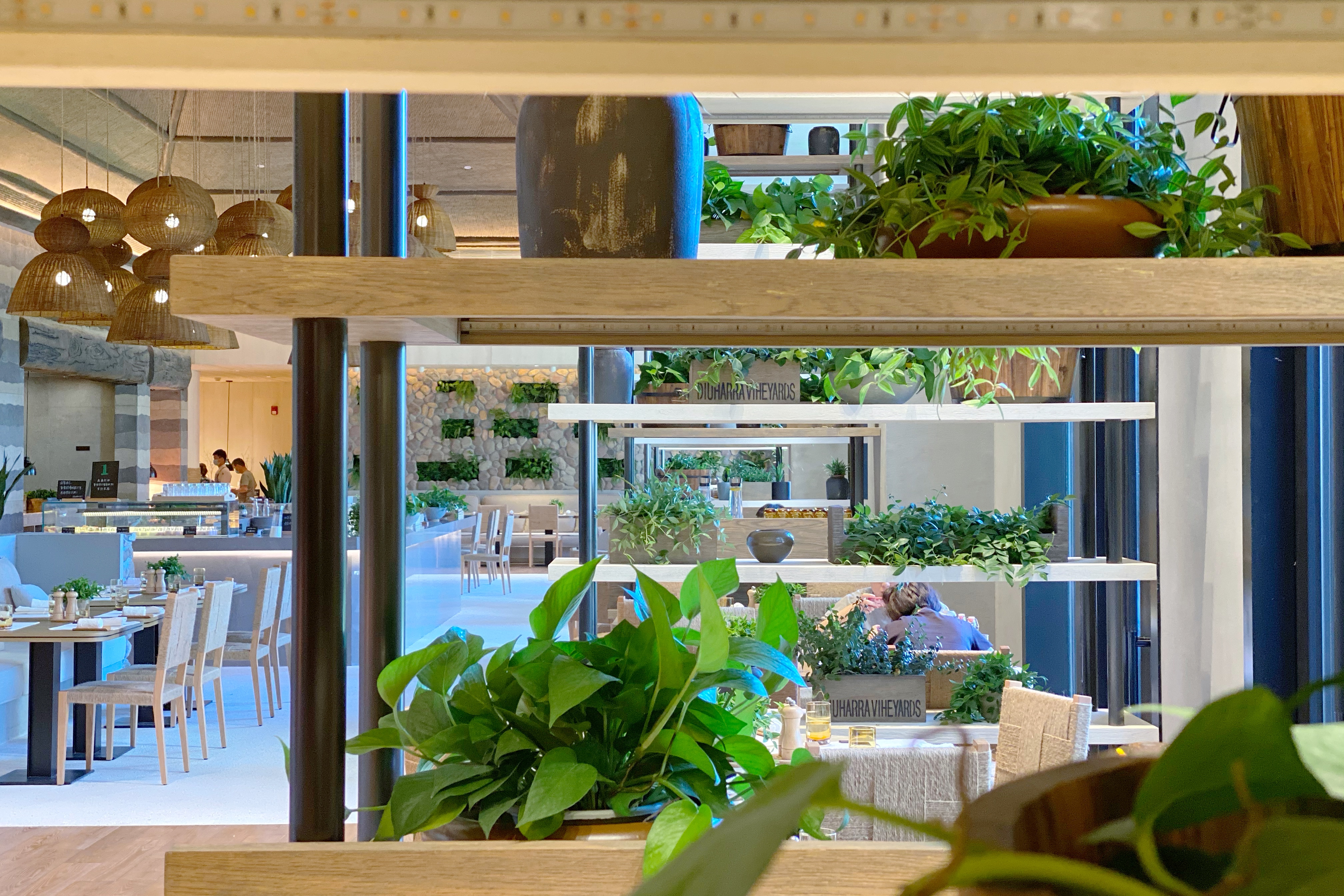 全球最适宜中国人去的海岛,中国可以度假的海岛