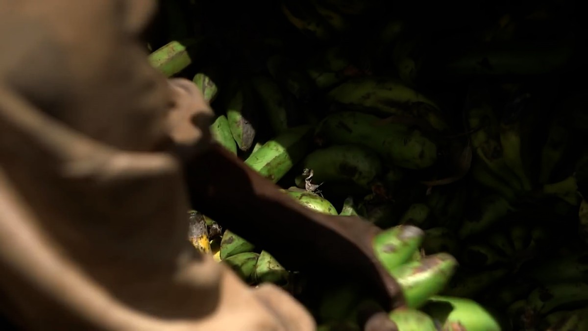 非洲布隆迪的赚钱天才,骑着自行车运香蕉扒车门,满身绝活无人敌