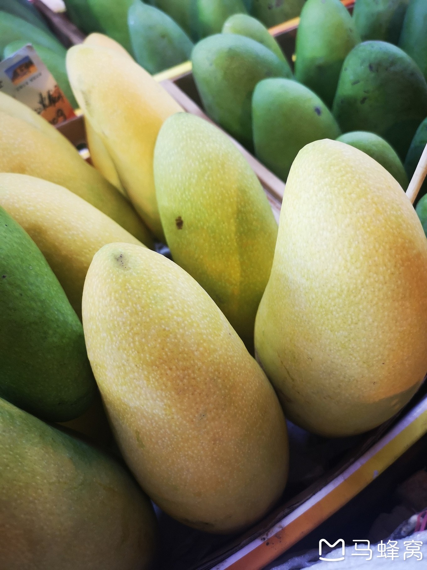 三亚夏天的海和冬天的海,三亚冬天如夏