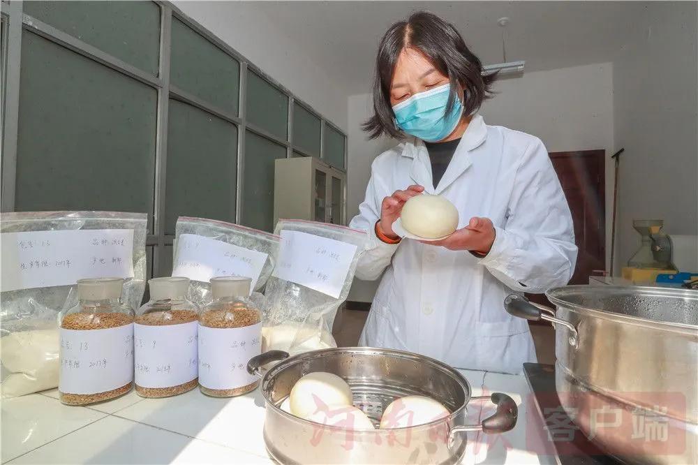 鐒︿綔涓師绮粨,娌冲崡娓╁幙涓師绮粨