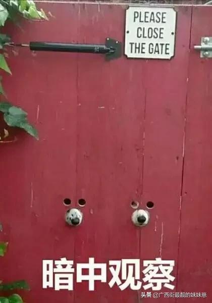 聚划算影响最低价吗,聚划算一点都不便宜