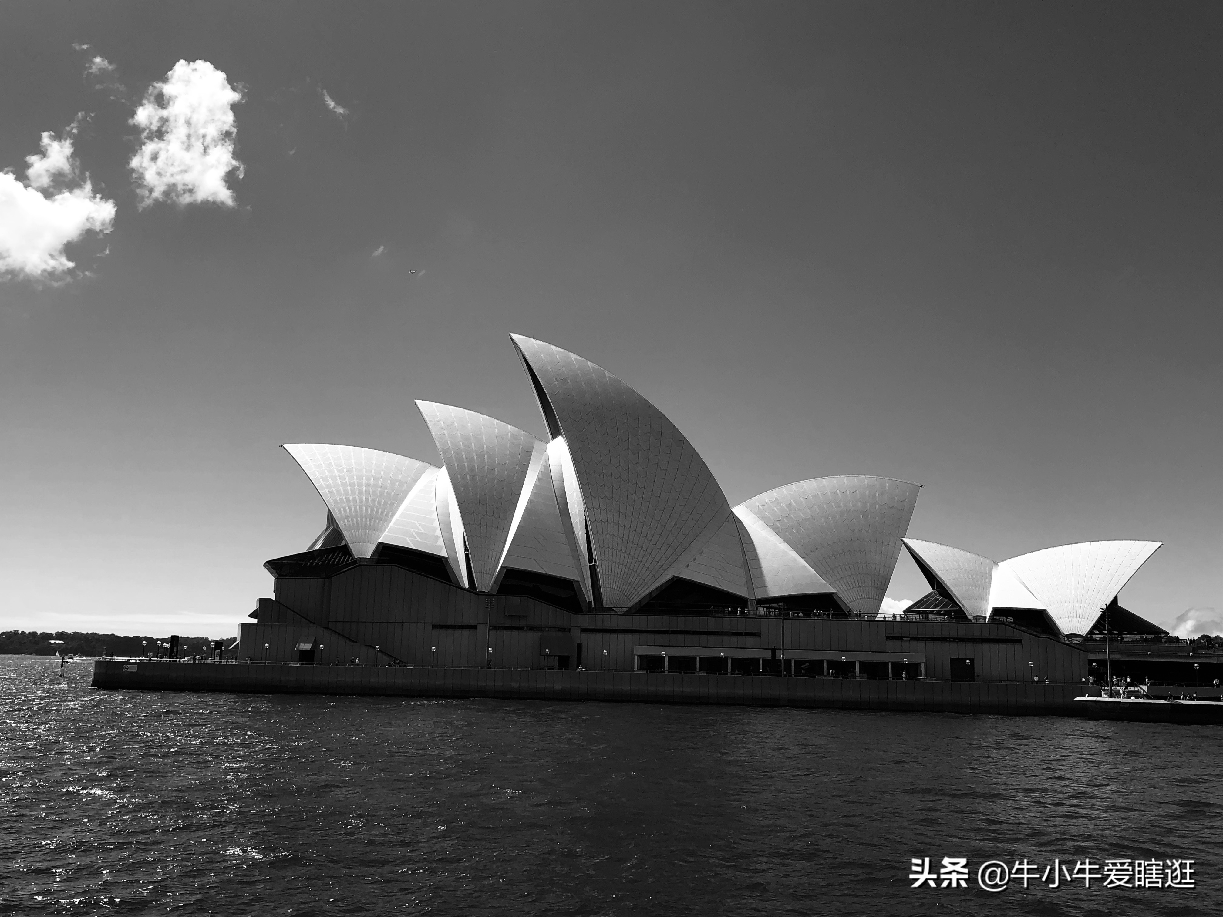 悉尼7日游自由行攻略,澳洲阿德莱德旅游攻略